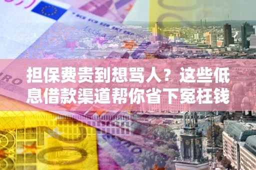 北京担保费贵到想骂人？这些低息借款渠道帮你省下冤枉钱