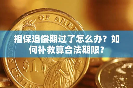 北京担保追偿期过了怎么办？如何补救算合法期限？