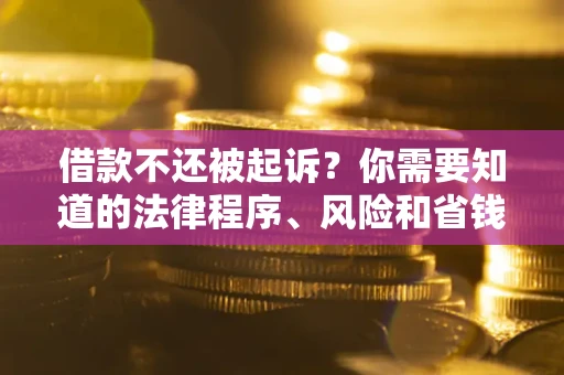 北京借款不还被起诉？你需要知道的法律程序、风险和省钱技巧